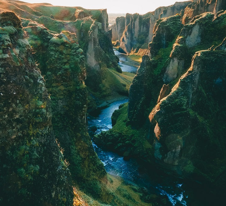 Deep Canyon French Roast
