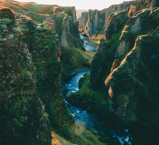 Deep Canyon French Roast