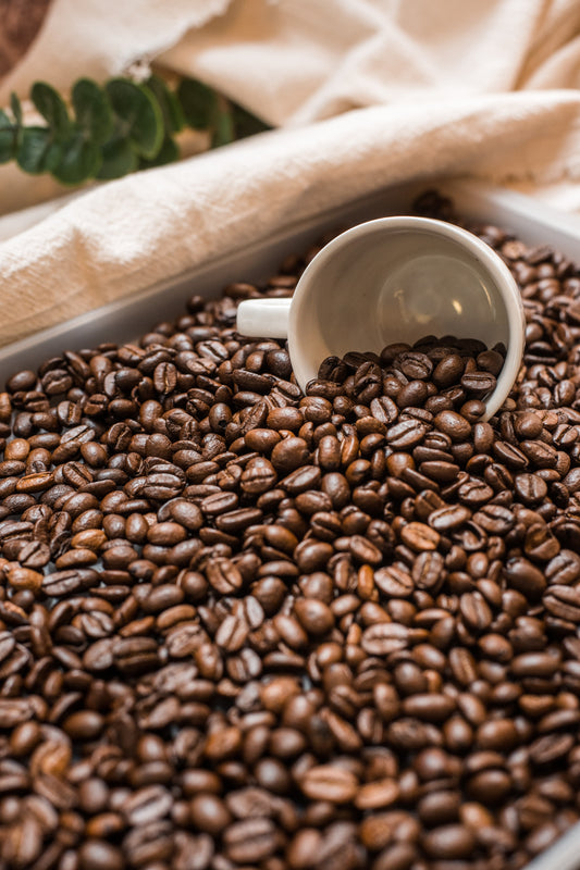 Nicaragua - Eagles Domain Coffee