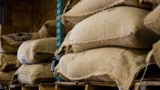 Single Origin Favorites Sample Pack - Eagles Domain Coffee
