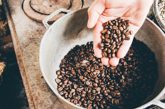 Single Origin Favorites Sample Pack - Eagles Domain Coffee